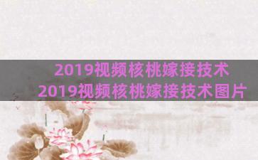 2019视频核桃嫁接技术 2019视频核桃嫁接技术图片